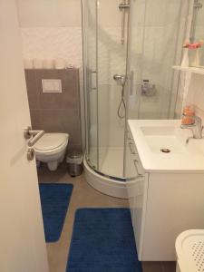 诺瓦利娅Apartman Bruna的带淋浴、卫生间和盥洗盆的浴室