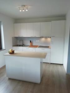 拉多夫吉卡CARNIOLAN HOUSE - GORENSKA HIŠKA的厨房配有白色橱柜和台面