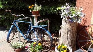 弗龙堡考普米克酒店的一辆蓝色自行车停在一束鲜花旁边