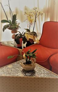 切塞纳蒂科帝国酒店的客厅配有桌椅和植物
