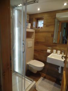 兹蒂尔波德拜利安斯科密塔翠弥度假屋的带淋浴、卫生间和盥洗盆的浴室