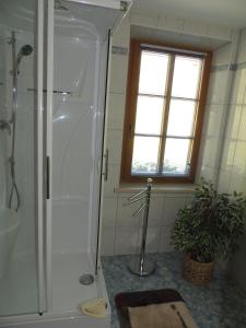 菲尔根Gästehaus Taner的带淋浴和盥洗盆的浴室