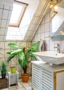 京斯特Nordstern的一间带水槽和植物的浴室