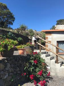 巴尔韦尔德Casas Del Monte II的花朵和相机的楼梯