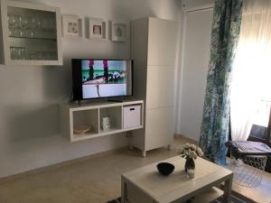 福恩吉罗拉Apartamento Trinidad mit Netflix的客厅配有电视和茶几