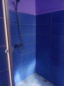 塔鲁丹特Hotel la belle vue 2100m的浴室设有蓝色瓷砖淋浴。