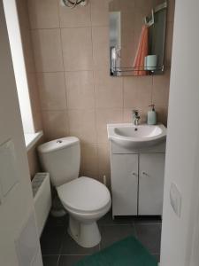 包斯卡Dzīvoklis Vecpilsētā的一间带卫生间和水槽的浴室