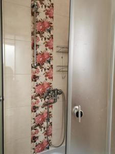 包斯卡Dzīvoklis Vecpilsētā的玻璃门淋浴和花卉壁纸