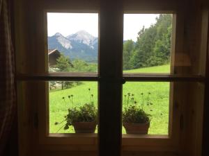 雷丹尼茨恩Cozy Log Cabin near Faaker See的窗户,两盆植物,眺望田野