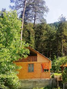 博尔若米Guest House Ilia的森林中间的小木屋