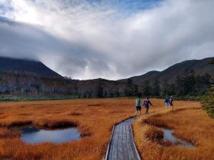 俱知安町Niseko Tabi-tsumugi Backpackers的一群人走在木板路穿过田野