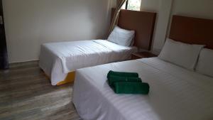 金马仑高原郁金香公寓式酒店的一间酒店客房,配有两张床和绿色的物品