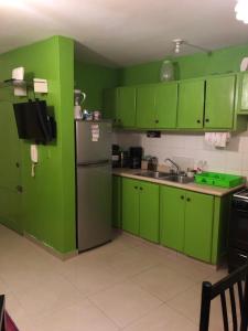 博卡奇卡热门公寓酒店的绿色厨房配有绿色橱柜和冰箱
