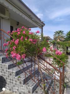 Paralía AvdhíronVilla Soula的一座房子的楼梯上一丛粉红色的花