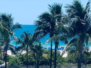 迈阿密海滩Beachfront Ocean Dr white sand paradise SoBe 311的享有棕榈树海滩和大海的景色