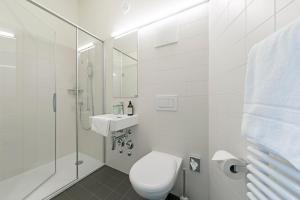 圣加仑Dom Studios的浴室配有卫生间、淋浴和盥洗盆。