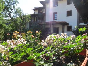 LovechOazis Guesthouse的一座花园,在一座建筑前种有鲜花