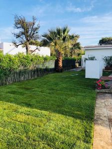 罗萨玛里纳Villa sul mare Rosa Marina的绿草成荫的院子和栅栏