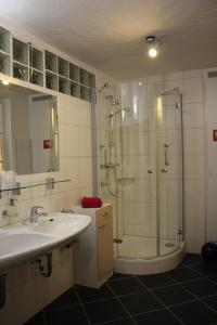 盖尔恩豪森阿尔斯塔德格尔豪森酒店的带淋浴、盥洗盆和淋浴的浴室