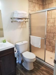 LigonierSunset Cottage Motel Rooms的一间带卫生间和淋浴的浴室