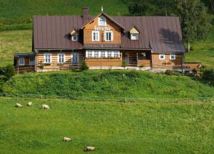 派克波特斯耐兹库索哈卡小屋宾馆 的山丘上一座大木房子,田野里饲养着羊