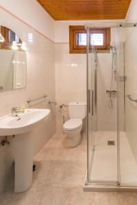 奥查加维亚apartamento AZKOITI ETXEA的浴室配有卫生间、盥洗盆和淋浴。