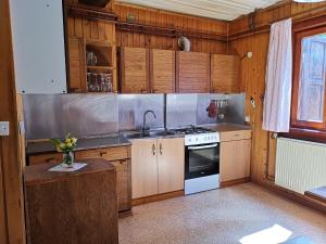 Chalet Stara Jelka Pokljuka的厨房或小厨房