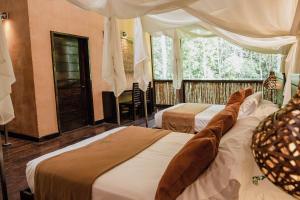 TambopataTambopata Research Center的酒店客房设有两张床和窗户。