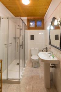 奥查加维亚Apartmento AZKOITI的带淋浴、卫生间和盥洗盆的浴室