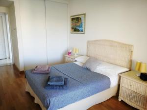 滨海卡涅Front beach Luxury near Nice airport的一间卧室配有一张带蓝色毯子的大床