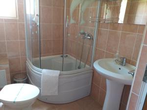 阿列谢尼Casa Raluca的带淋浴、卫生间和盥洗盆的浴室
