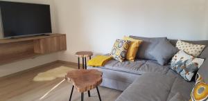 克拉尼斯卡戈拉Vila Mojca - Apartmaji Lena的带沙发和平面电视的客厅