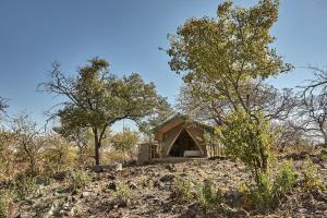 楚梅布ZuriCamp - Tent Amani的树丛中小屋