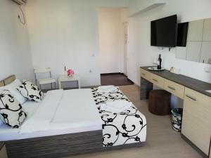 科斯蒂内什蒂Anacris Guesthouse的一间卧室配有一张床、一张书桌和一台电视