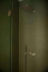 乌得勒支CREATIVE VALLEY NEST – Luxury Rooftop Apartments的带淋浴的浴室(带绿色墙壁)
