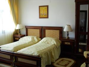 阿尔杰什河畔库尔泰亚多米斯卡酒店的一间卧室设有两张床、两盏灯和一个窗户。