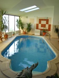 阿尔杰什河畔库尔泰亚多米斯卡酒店的植物群中的一座大型游泳池