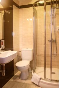 姆德尼擦文西机场酒店的浴室配有卫生间、盥洗盆和淋浴。