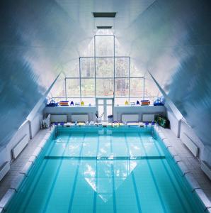 莫斯科佩瑞德尔基诺疗养酒店的一座带窗户的大型游泳池