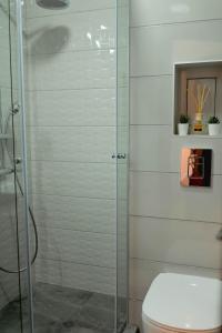瓦尔纳B&P studios的一间带卫生间和玻璃淋浴间的浴室
