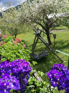 巴德小基希海姆Bio Naturhof Ottingerhof的种有紫色花卉和秋千的花园