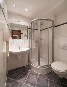 波滕施泰因施万酒店的带淋浴、卫生间和盥洗盆的浴室