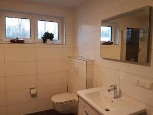 阿伦斯霍普Darßer Strandgut - Haus Ahrenshooper Holz的一间带卫生间、水槽和镜子的浴室
