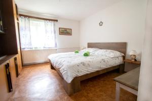 TrebnjeDomačija Vesel的一间卧室设有一张床和一个窗口