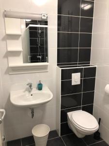 萨格勒布Apartman STAR的一间带水槽、卫生间和镜子的浴室