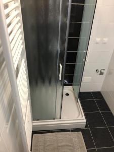 萨格勒布Apartman STAR的浴室里设有玻璃门淋浴