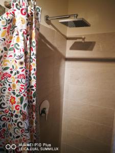 比萨Villa Galilei Rooms的一个带水槽的浴室内的淋浴帘