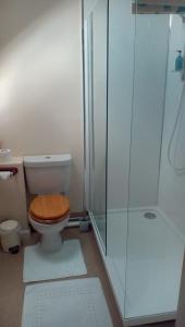 Metheringham林肯郡偷猎者度假屋的一间带卫生间和玻璃淋浴间的浴室