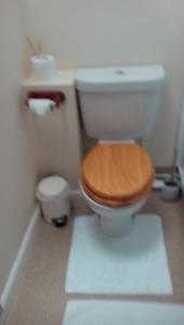 Metheringham林肯郡偷猎者度假屋的一间带卫生间和木制马桶座的浴室
