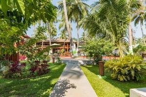 哈夫洛克岛Coral Reef Resort & Spa, Havelock的一条穿过棕榈树度假村花园的小路